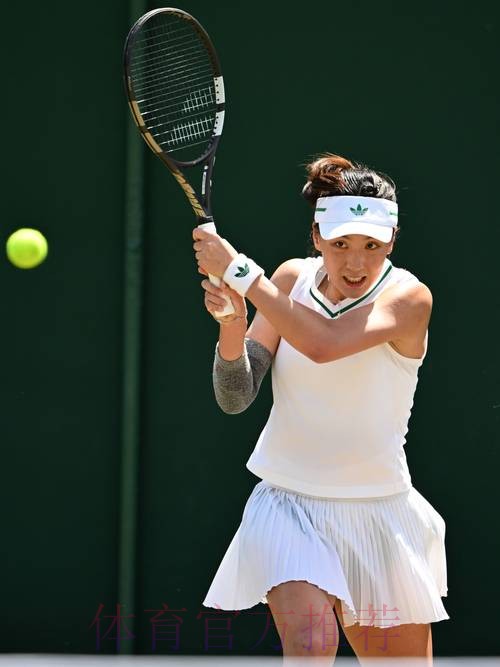 王欣瑜负于利内特 止步女单第二轮
